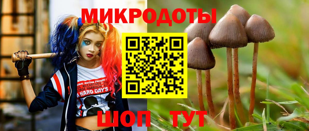 Псилоцибиновые грибы прущие грибы Сальск